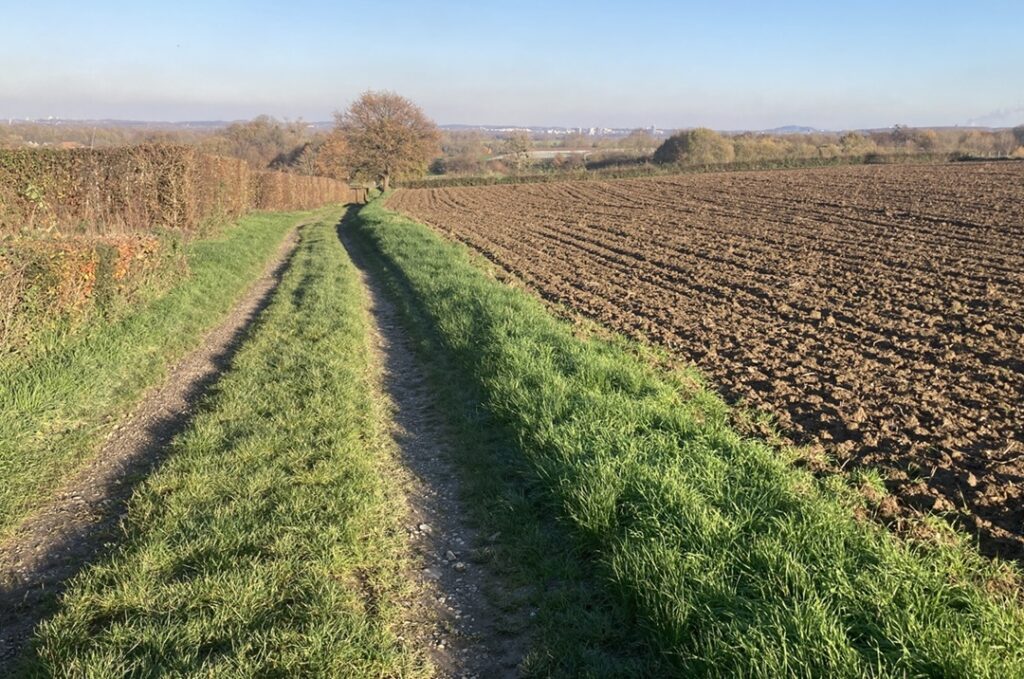 project ransdalerveld gravelroute
